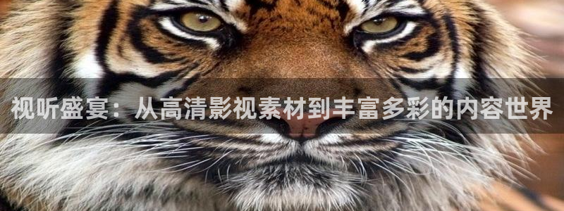 悟空神马影院在线观看：视听盛宴：从高清影视素材到丰富多彩的内容世界