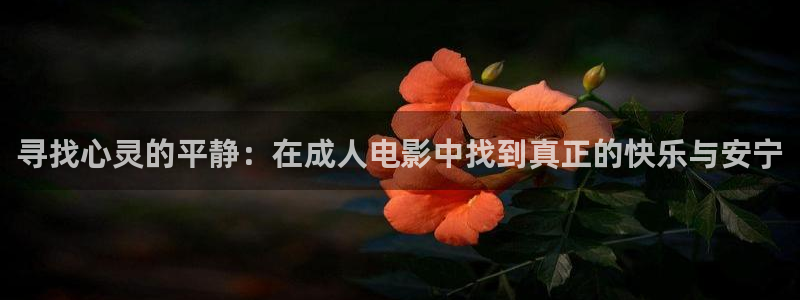 悟空视频下载免费：寻找心灵的平静：在成人电影中找到真正的快乐与安宁