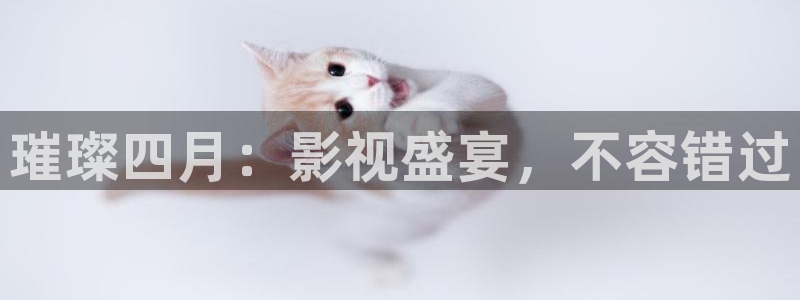 悟空在线视频播放：璀璨四月：影视盛宴，不容错过
