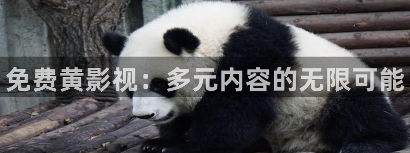 孙悟空小视频：免费黄影视：多元内容的无限可能