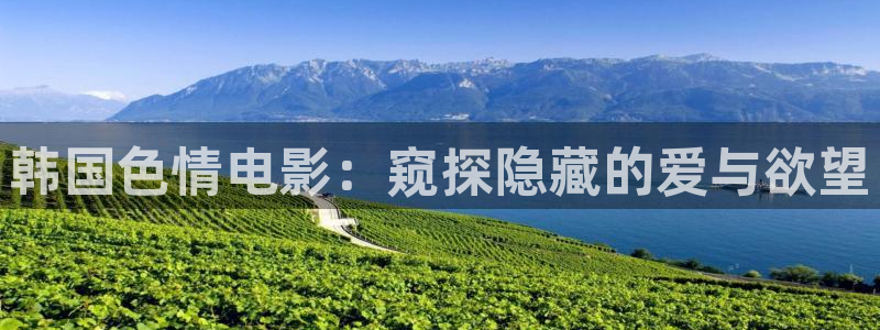 悟空影视免费观看电视剧：韩国色情电影：窥探隐藏的爱与欲望