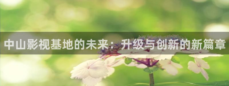 悟空舞蹈视频：中山影视基地的未来：升级与创新的新篇章