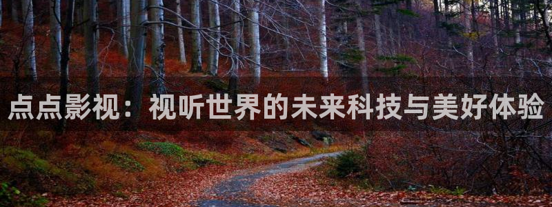 悟空电影天堂在线观看：点点影视：视听世界的未来科技与美好体验
