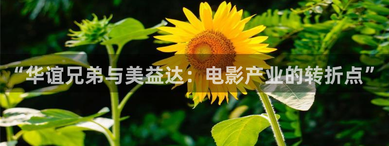 悟空免费看视频：“华谊兄弟与美益达：电影产业的转折点”