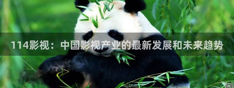悟空表演视频：114影视：中国影视产业的最新发展和未来趋势