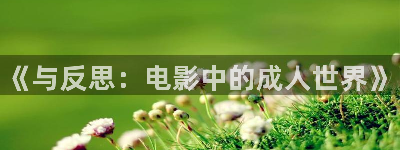 神马影院悟空：《与反思：电影中的成人世界》