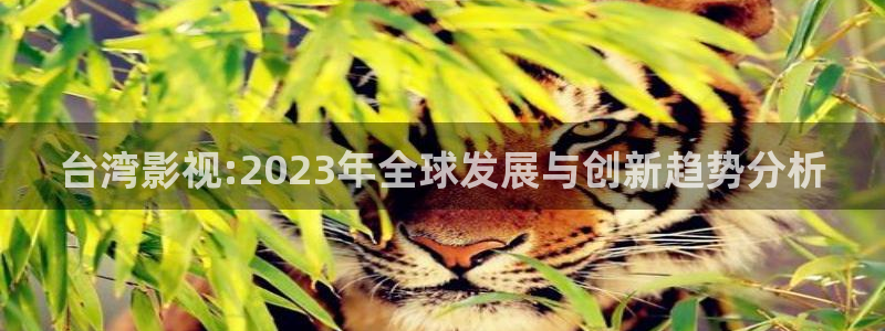 悟空影视大全怎么样：台湾影视:2023年全球发展与创新趋势分析